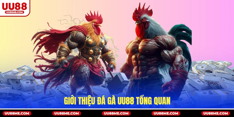 Giới thiệu Đá gà UU88 tổng quan